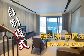 港岛 南区．左岸 3530呎 打通上下两层 自制海景複式豪宅视频封面