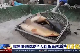 高通胀影响波兰人对鲤鱼的消费视频封面