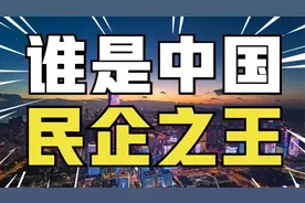 中国民企500强：营收之王、纳税之王、研发之王，扒扒谁最强？视频封面