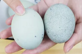 买松花蛋，选蛋壳有“黑点”还是干净的？记住这5点，不花冤枉钱视频封面