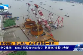 关键时刻顶得住！助力湖北的这些央企诚意是一贯的！视频封面