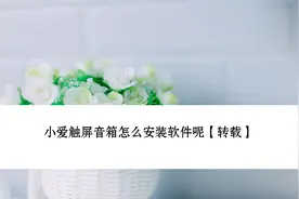 小爱触屏音箱怎么安装软件呢【转载】