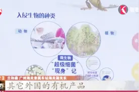 出国游玩要注意！回国时千万别带这些东西，当心被扣！视频封面