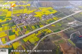 坐高铁去赏花  西安北至汉中开通“油菜花专列”视频封面