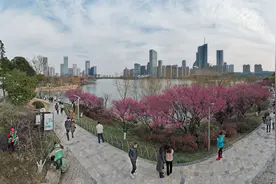 合肥：周末，天鹅湖梅花盛开，航拍春天美景视频封面