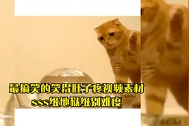 盘点憋笑挑战赛：最搞笑的笑得肚子疼视频素材sss级地狱级别难度视频封面