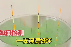 为何钓鱼时你的浮漂老调不准？浮漂一旦出现吃水，你再调也调不好视频封面