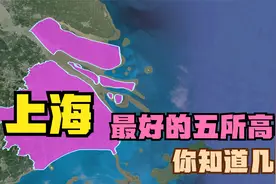 上海最好的五所高中：外国语落榜，进才中学第5，复兴高级中学第3视频封面