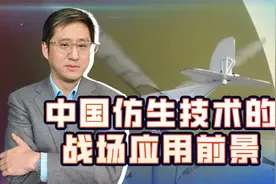 西工大仿生扑翼鸟打破世界纪录，机器动物上战场不是好莱坞专利视频封面