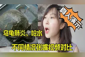 乌龟张嘴到底是呛水还是肺炎？肺炎和呛水的相似点，以及如何区分视频封面
