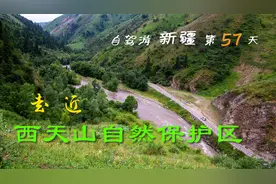 新疆降水最多的地方，一年可达1000毫米，堪比亚热带雨林视频封面