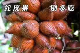 蛇皮果，别多吃！视频封面