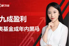 黑马！这类基金近九成盈利，回撤还小，能买吗？视频封面