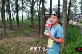 河南农村小伙夜晚逮知了猴，遇到蛇出没，吓得赶紧往家赶