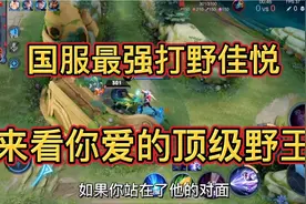 霸榜巅峰第一20天的打野佳悦第一视角.来看顶级野王的节奏压迫视频封面