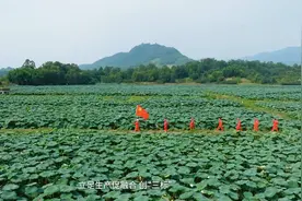 东方物探西南物探分公司：党旗如炬照初心视频封面