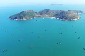 深海“牧场”——走向深蓝的巨型“粮仓”视频封面