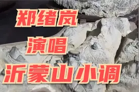 郑绪岚《沂蒙山小调》/李春晓（著有《山里妹子像公主》）录制视频封面