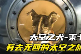 首位上太空的狗狗莱卡，为人类航天铺平道路，死亡真相被隐瞒45年视频封面