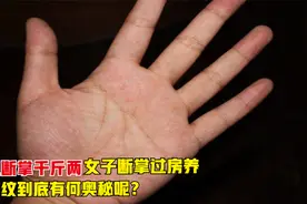 都说“男儿断掌千斤两，女子断掌过房养”，断掌纹到底有何奥秘？视频封面