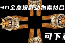 3D裸眼全息投影黑幕动物素材，有鲸鱼，鸵鸟，企鹅，老虎，狮子等视频封面