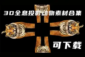 3D裸眼全息投影黑幕动物素材，有鲸鱼，鸵鸟，企鹅，老虎，狮子等视频封面