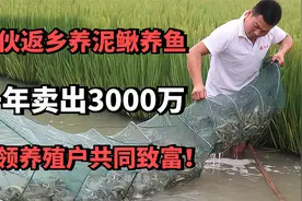 80后小伙返乡养泥鳅养鱼，一年卖出3000万，带领养殖户共同致富！视频封面