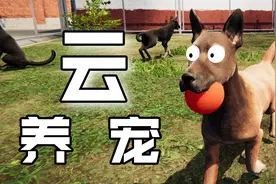 新时代云养宠《动物收容模拟器》初体验视频封面