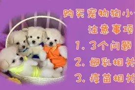 买宠物幼犬注意事项-三个问题判断是否适合养狗，母乳抗体疫苗视频封面