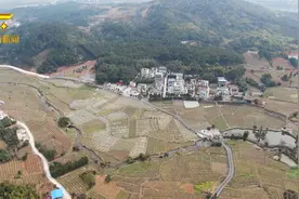 全州：毛竹山村春来早 葡萄沃野备耕忙视频封面