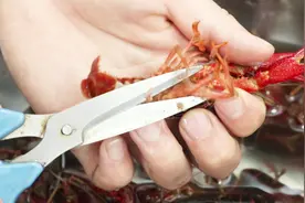 最正确的小龙虾初加工方法，八个爪子你剪过吗？快学习正确的做法视频封面