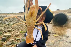刚退潮的沙滩上好多卧沙的海鲜，小章边走边捡，居然还发现大龙虾视频封面
