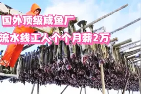 国外顶级咸鱼厂，流水线员工个个月薪2万，每月售到中国5万斤！视频封面