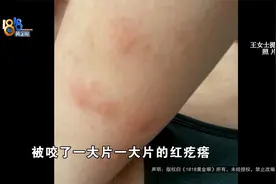 【1818黄金眼】房间里反复出现各种虫子，每天晚上被痒醒？视频封面