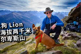 土狗挑战海拔两千米阿尔卑斯山，想成为登顶第一狗，结果杯具了视频封面