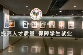 陕西艺术职院美术类2021届毕业生作品展及双选会开幕视频封面