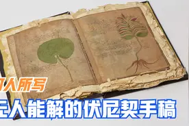 迄今未能破解的神秘奇书沃伊尼奇（伏尼契）手稿，究竟是何人所写视频封面
