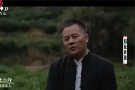 浮梁茶历史长达千年，古老茶味世代传承，红茶制作工艺繁琐又复杂视频封面