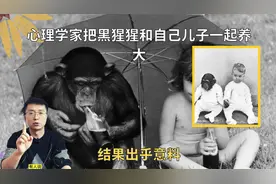 野生动物生下来就能走路，为什么人类幼崽毫无生存能力？很难养？视频封面
