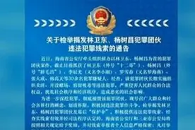 组织卖淫、容留吸毒！海南警方喊你检举“十二哥”团伙及保护伞视频封面