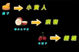 这些关于水果的冷知识，你都知道吗？视频封面