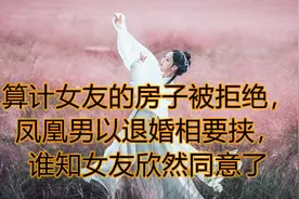 算计女友的房子被拒绝，凤凰男以退婚相要挟，谁知女友欣然同意了视频封面