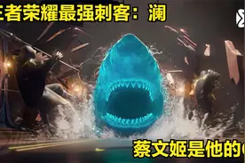 王者荣耀最强刺客：澜，居然跟蔡文姬是CP视频封面