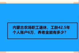 内蒙古农场职工退休，工龄42.5年，个人账户6万，养老金能有多少视频封面