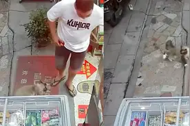 主人带猫去商店，猫咪突然发狂咬伤主人，无奈将养了3年的猫送人视频封面