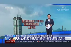 赛格大厦今起恢复使用 商户回迁 专家组：大厦主体结构安全