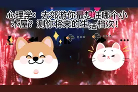 心理学情感测评~你最想住哪个小木屋？测你将来的生活什么档次！视频封面