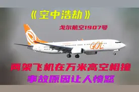 两架飞机在万米高空相撞，事故原因让人愤怒，空中浩劫纪录片视频封面