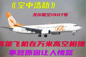 两架飞机在万米高空相撞，事故原因让人愤怒，空中浩劫纪录片视频封面