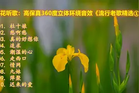 赏花听歌：高保真360度立体环绕音效《流行老歌精选①》视频封面